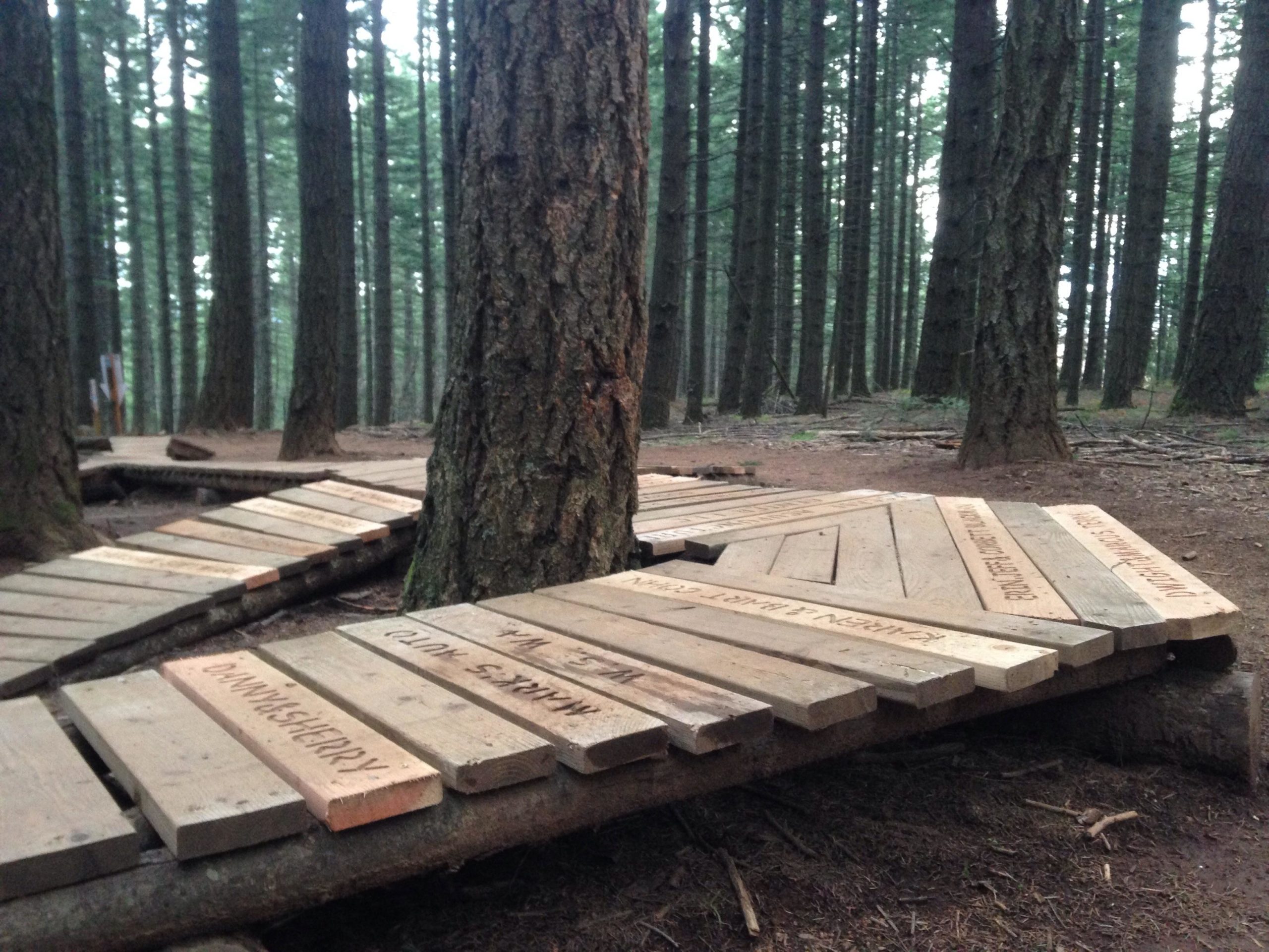 A winding wooden pathway made of planks curves through a dense forest, with tall trees surrounding it. The path appears to be raised slightly above the ground, showcasing a peaceful, natural setting. Post Canyon mountain bike trail.