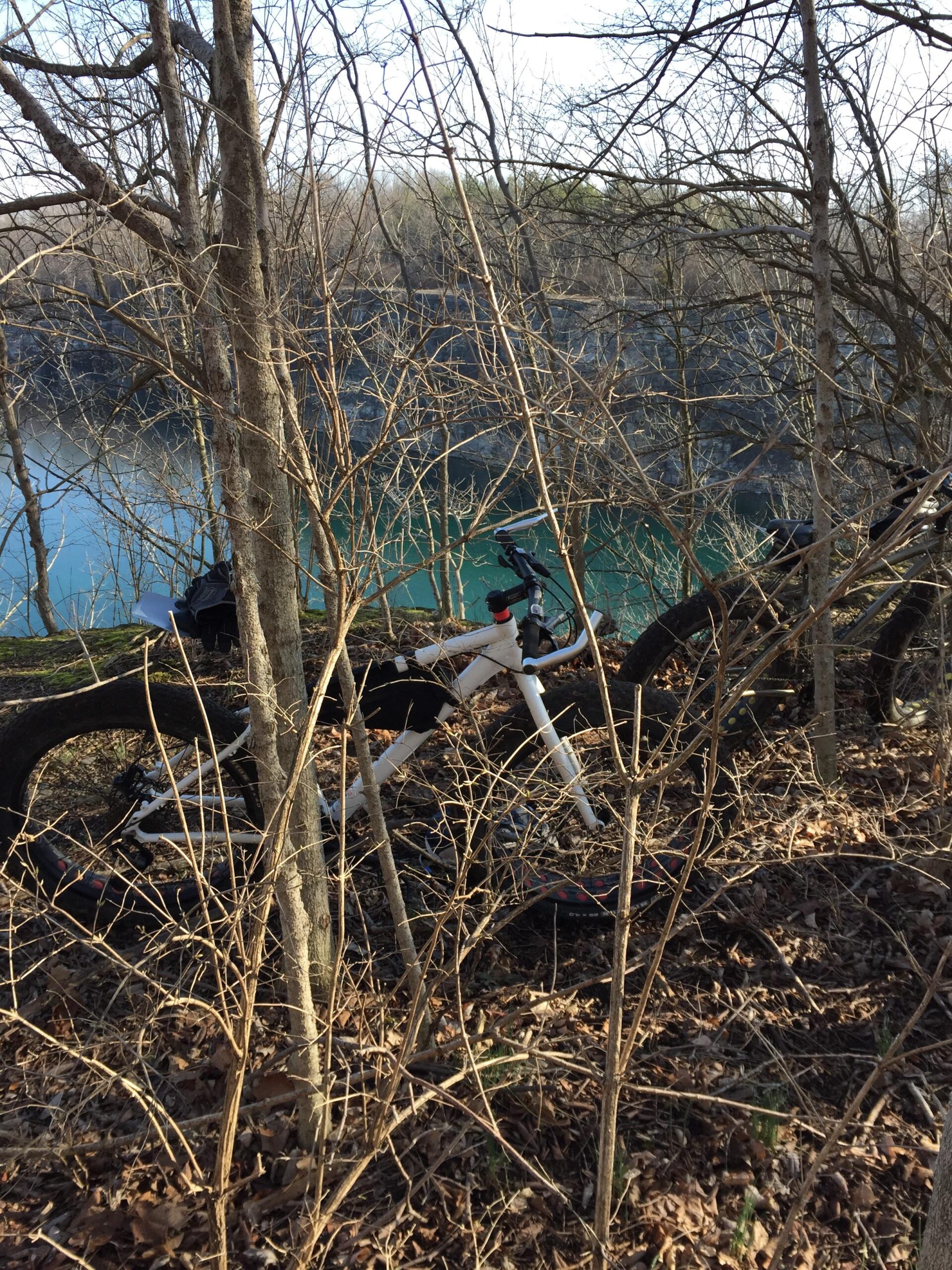 Motobecane NightTrain Bullet: A white bicycle partially obscured by bare trees and shrubs, with a serene body of water visible in the background. The setting features fallen leaves on the ground and a tranquil environment, suggesting a peaceful outdoor scene.