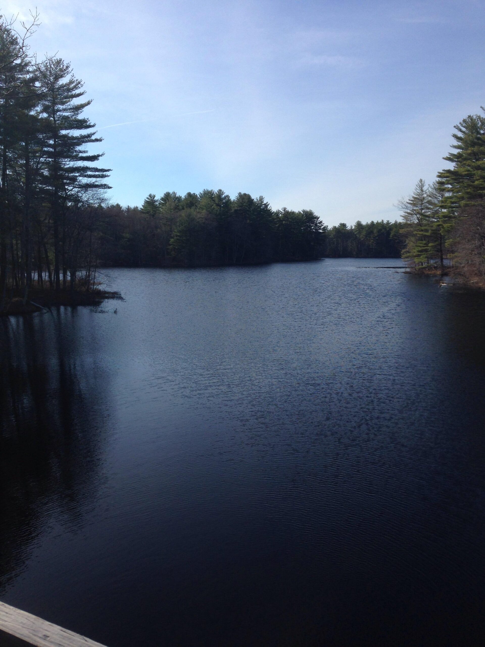 A tranquil view of a calm lake surrounded by lush green trees, under a clear blue sky. The water reflects the trees and clouds, creating a serene natural landscape. Depot Road Singletracks/FOMBA mountain bike trail.