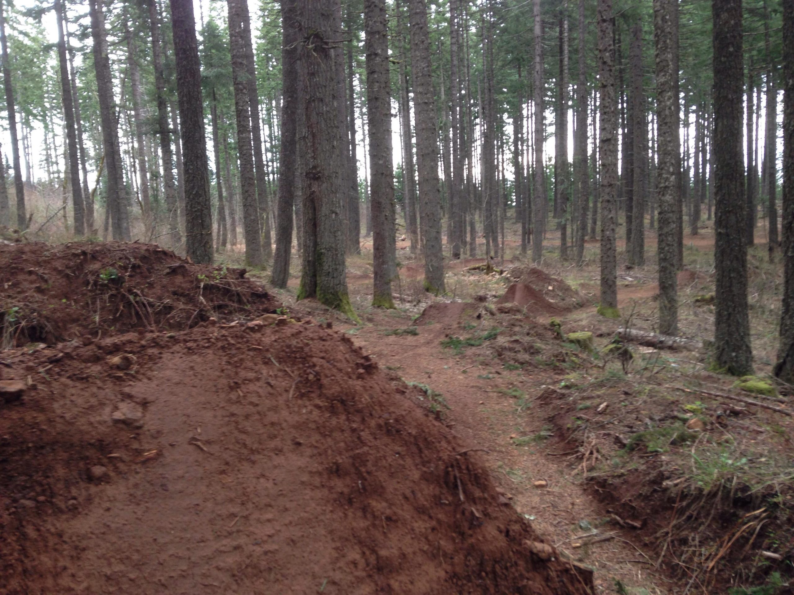 A forested area with tall trees and a dirt path winding through it. In the foreground, there are mounds of reddish-brown earth, indicating recent landscaping or trail work. The background features dense foliage and scattered fallen branches, creating a natural, rustic atmosphere. Post Canyon mountain bike trail.
