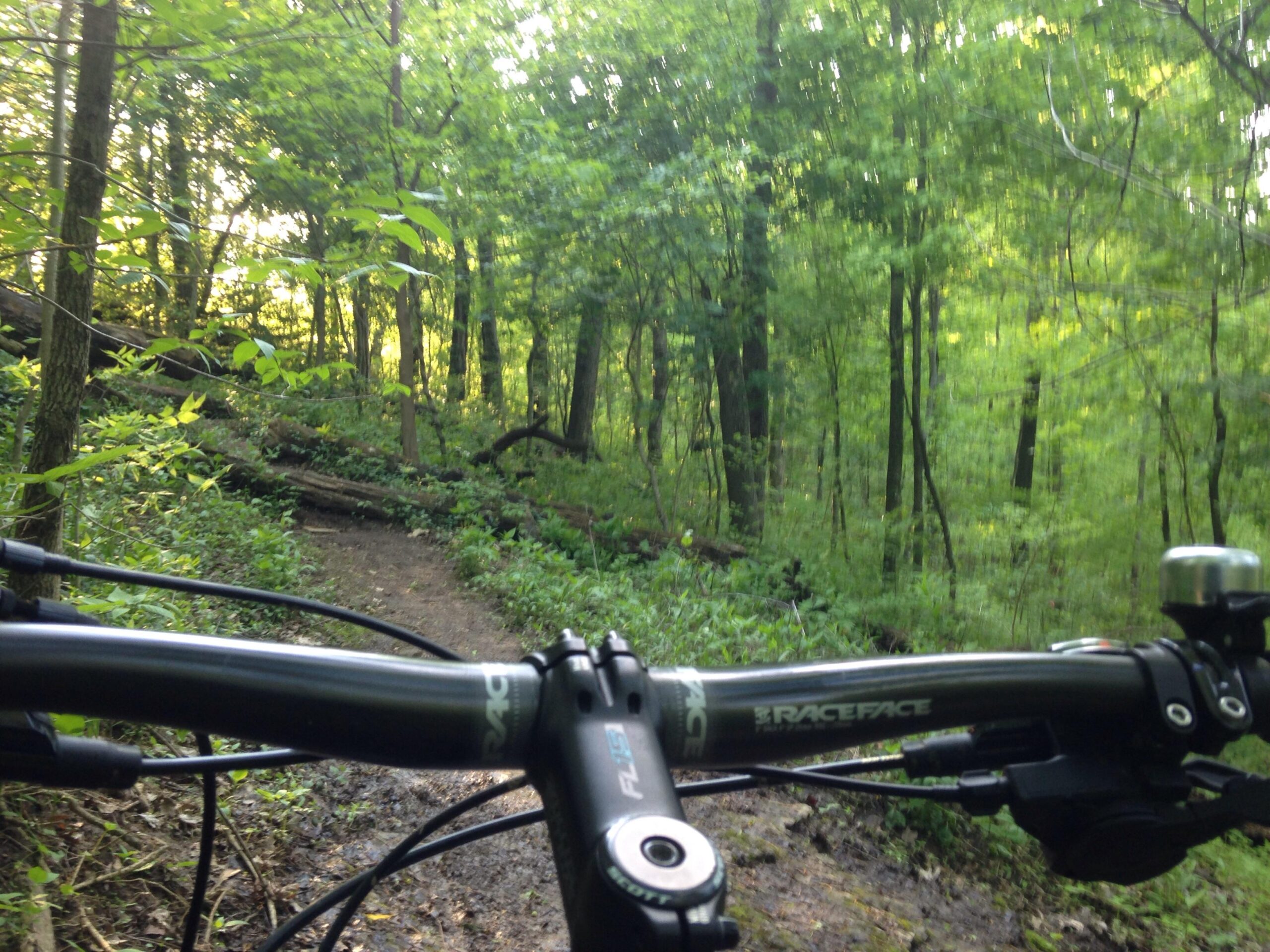 A view from the handlebars of a mountain bike, showcasing a muddy trail winding through a lush green forest. Sunlight filters through the trees, illuminating the vibrant foliage in the surrounding landscape. Cherokee Park mountain bike trail.