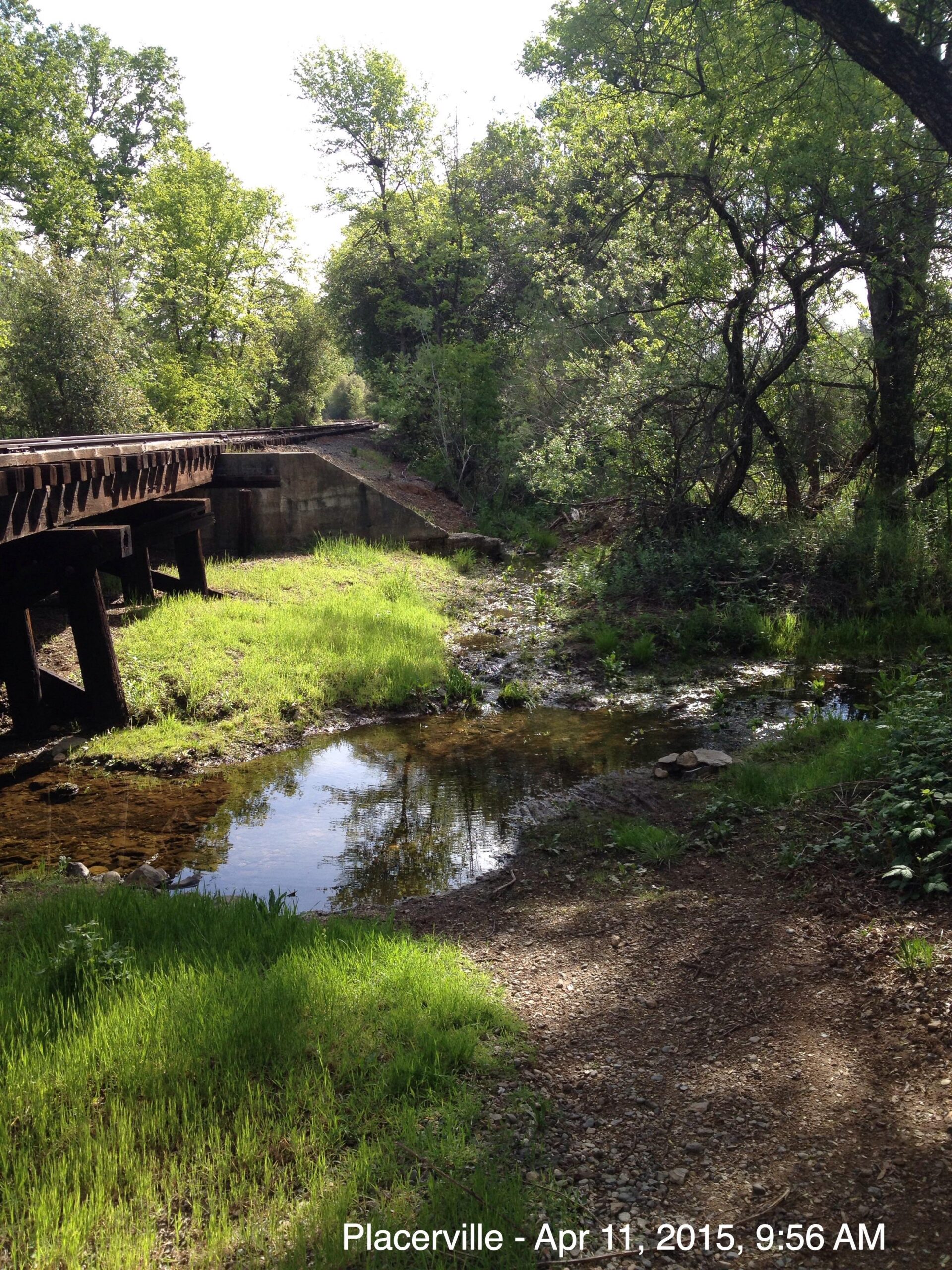 A peaceful natural scene featuring a small stream reflecting the surrounding greenery. The area is bordered by lush grass and trees, with a wooden bridge visible in the background. The image captures a serene moment in a forested environment, indicative of early spring with bright sunlight filtering through the leaves. El Dorado Trail mountain bike trail.