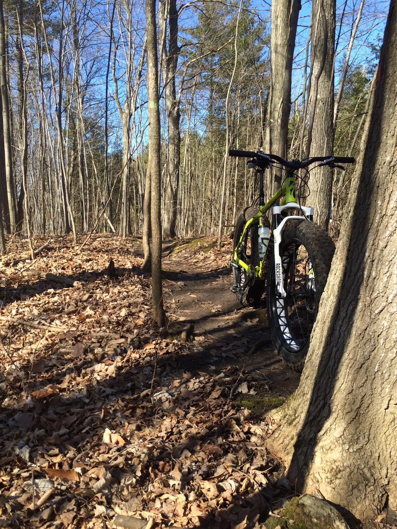 A green mountain bike leaning against a tree on a narrow dirt path through a forest. The ground is covered in fallen leaves, and the trees are bare, with a clear blue sky visible in the background. Puslinch Lake mountain bike trail.