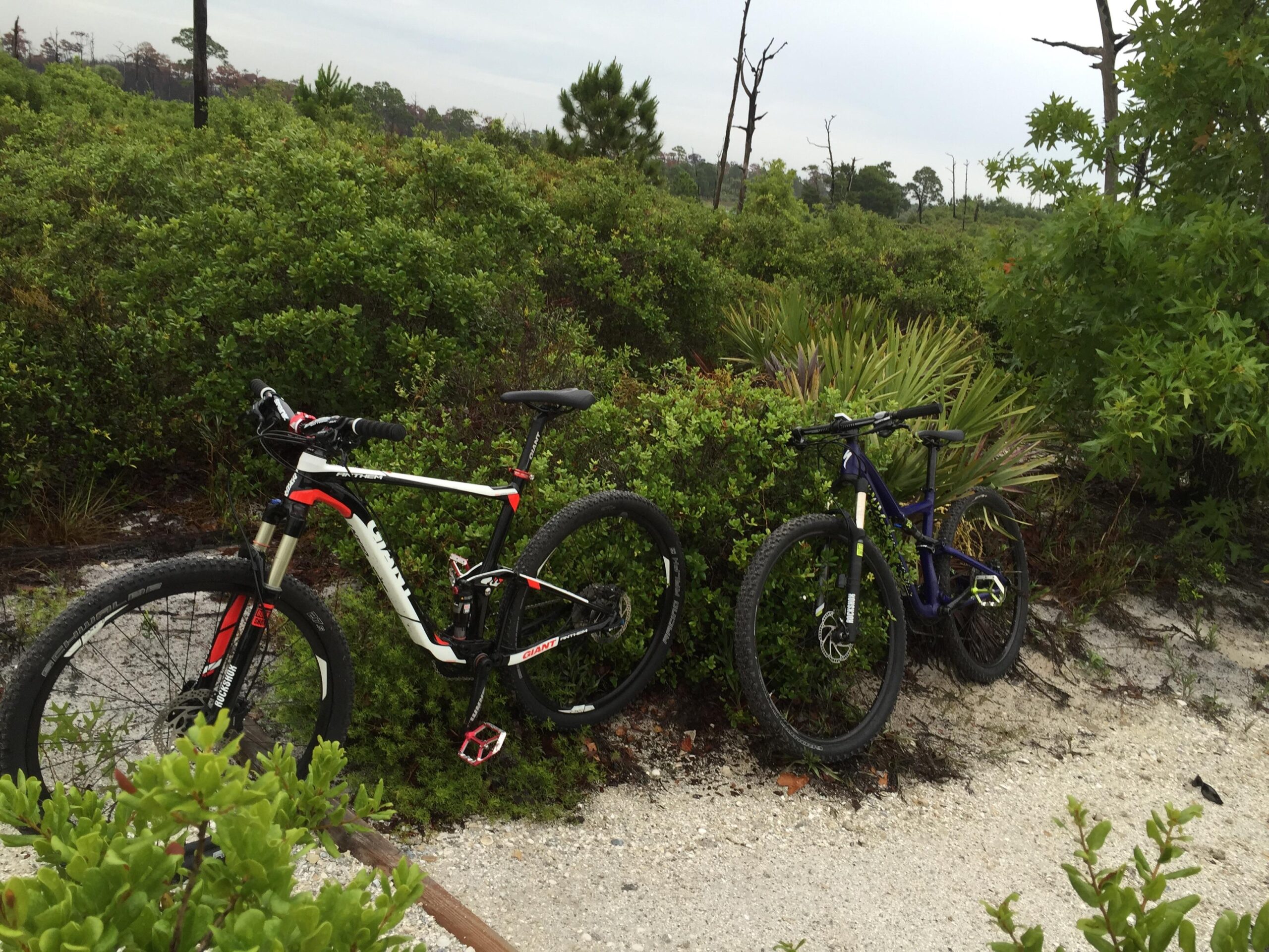 Specialized Rumor: Two mountain bikes are leaning against a bush in a natural outdoor setting. One bike is predominantly white and red, while the other is blue. The background features lush greenery, sandy ground, and some sparse vegetation under a cloudy sky.