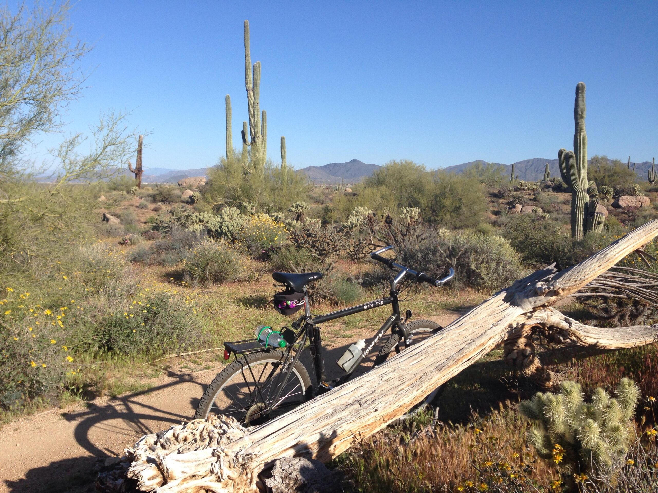 A mountain bike resting on a dirt trail surrounded by desert vegetation, including cacti, shrubs, and wildflowers. In the background, there are rolling hills and a clear blue sky. A fallen log is in the foreground, adding to the natural landscape. Pima Road and Dynamite Blvd mountain bike trail.