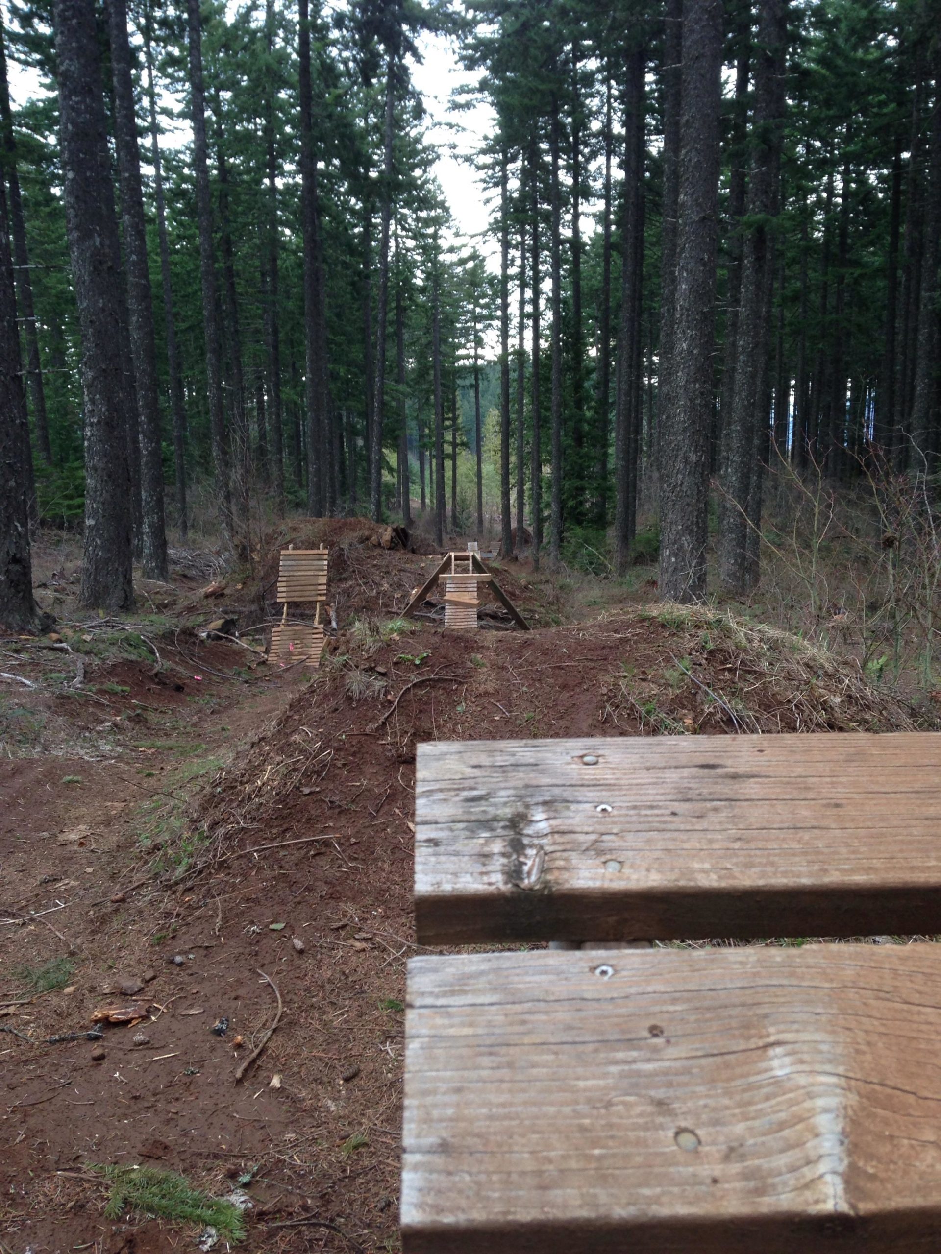 A narrow dirt trail lined with tall trees leads to a wooden jump constructed from planks. The jump is positioned over a small mound of dirt, with additional wooden structures visible in the background. The scene is set in a forested area, with scattered pine needles and a natural, earthy environment. Post Canyon mountain bike trail.