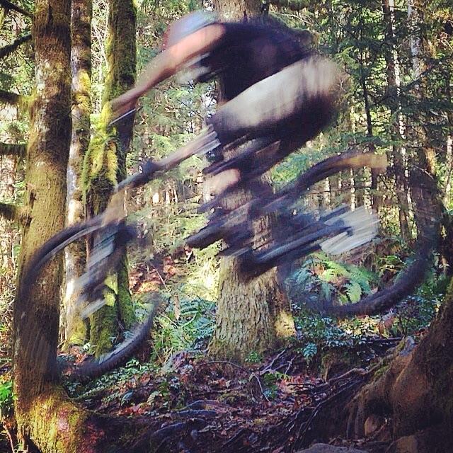 A mountain biker caught in mid-air while jumping over a natural obstacle on a forest trail, surrounded by tall trees and lush green foliage. The motion blur emphasizes the speed and dynamic action of the rider. Sandy Ridge mountain bike trail.