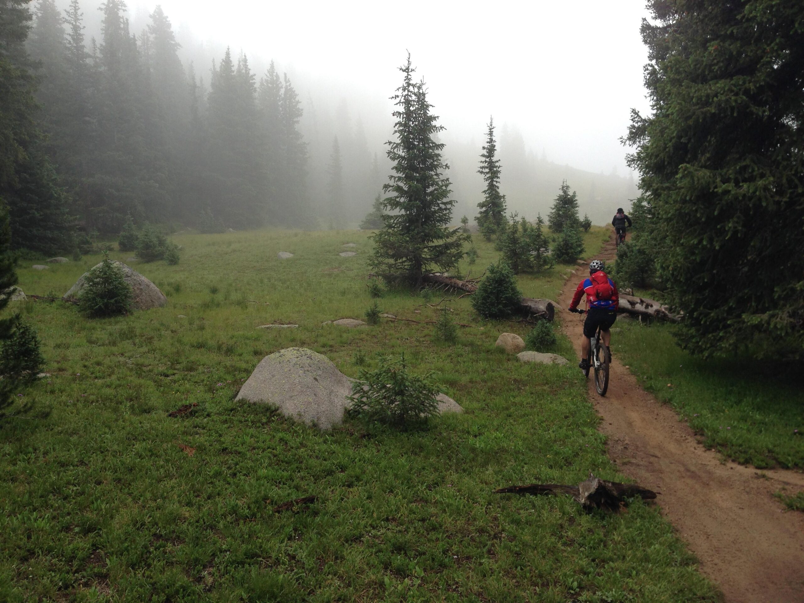 A misty landscape featuring two mountain bikers riding on a dirt trail surrounded by lush greenery and pine trees. Large rocks are scattered throughout the grassy area, with fog enveloping the higher ground in the background, creating a serene atmosphere. Monarch Crest Trail mountain bike trail.