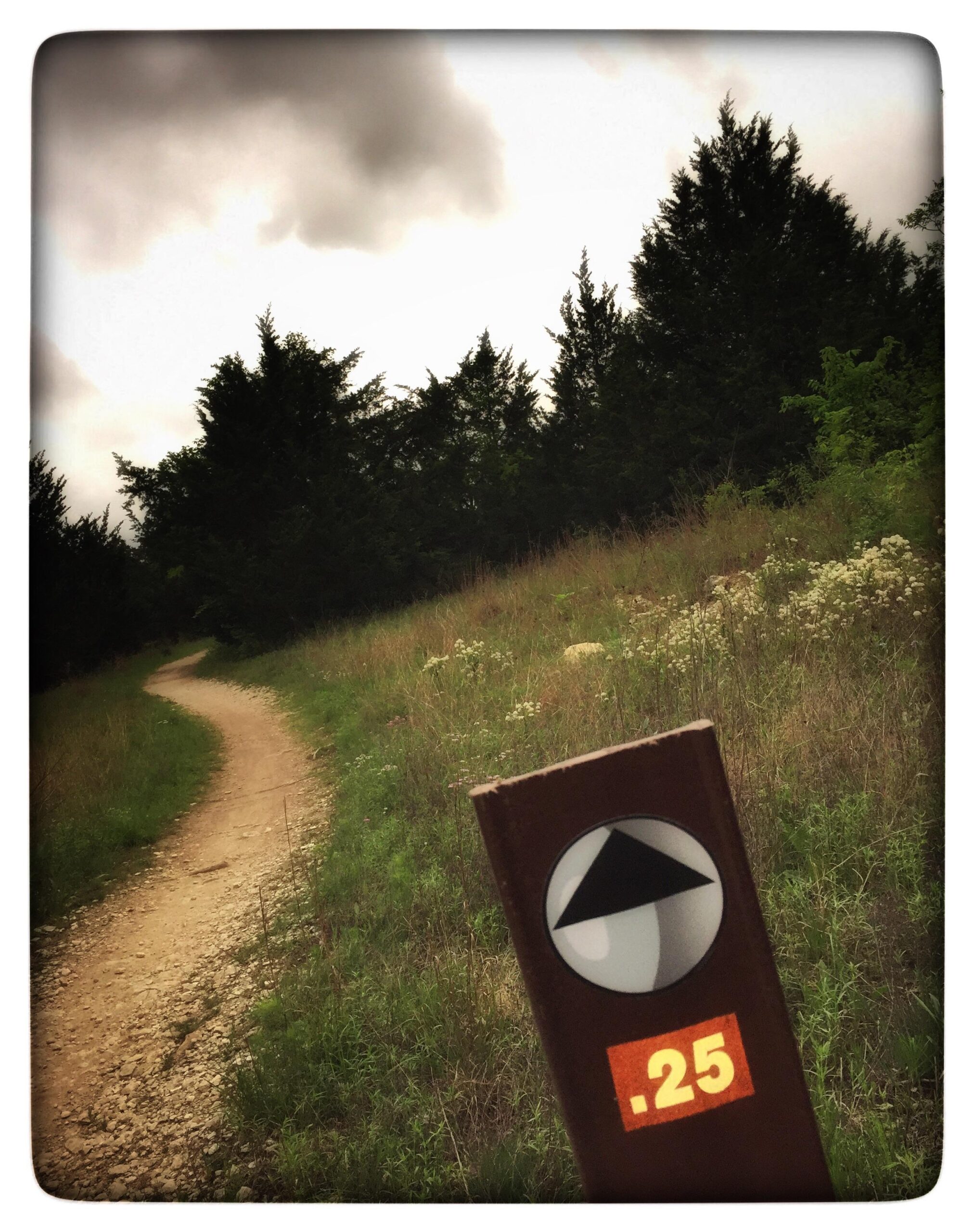 A winding dirt path surrounded by greenery and trees, with a trail marker in the foreground indicating a distance of 0.25 miles. The sky is cloudy, creating a moody atmosphere.