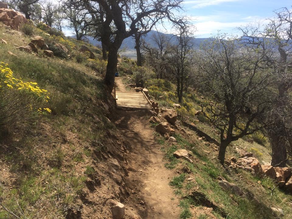 A dirt hiking trail winding through a grassy hillside with scattered rocks and yellow wildflowers, leading towards a wooden bridge. Leafy trees are visible on either side, with distant mountains under a clear blue sky. TMTA Lehigh trails mountain bike trail.