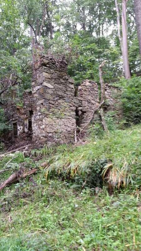 Photograph of a weathered stone ruin nestled in a lush, green forest. The structure is partially collapsed, with overgrown vegetation and tree branches surrounding it, creating a sense of nature reclaiming the remnants of the building. Brandywine State Park mountain bike trail.
