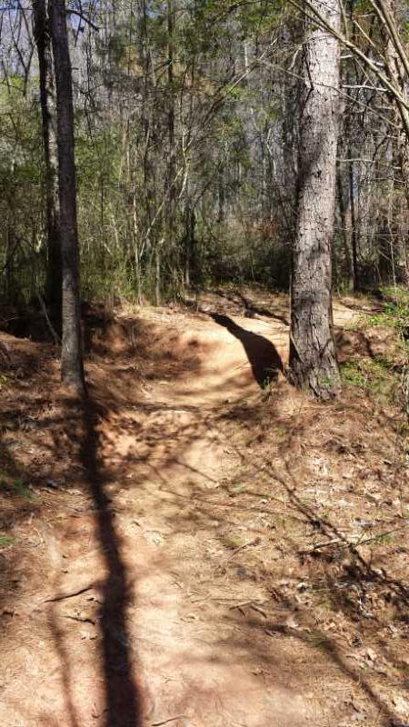 A winding dirt trail surrounded by trees in a forest, with sunlight filtering through the foliage. The path shows footprints and is bordered by pine needles and underbrush, leading deeper into the woods. Charleston Park mountain bike trail.