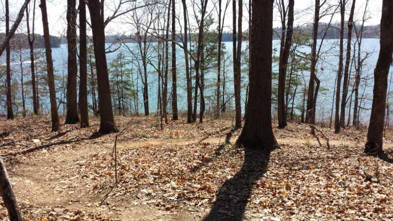 A serene lakeside scene showing a trail winding through a wooded area. The landscape features bare trees and a few evergreen trees, with fallen leaves covering the ground. In the background, the calm blue water of the lake is visible, reflecting the clear sky. Charleston Park mountain bike trail.