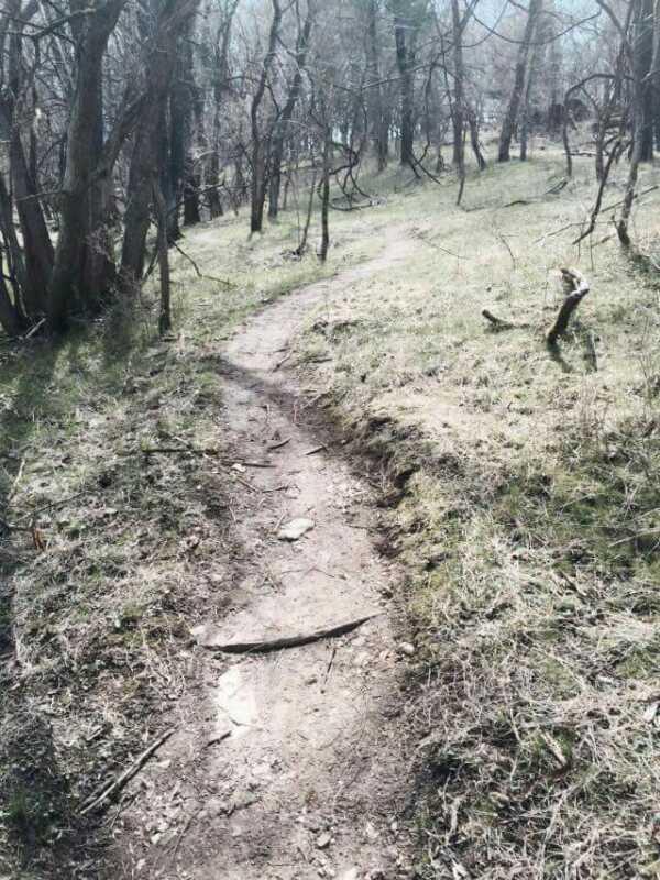 A winding dirt path through a lightly wooded area, surrounded by sparse trees and grass. The trail is narrow and uneven, with patches of soil and small stones visible. Sunlight filters through the branches, creating a tranquil outdoor setting. Capital View mountain bike trail.