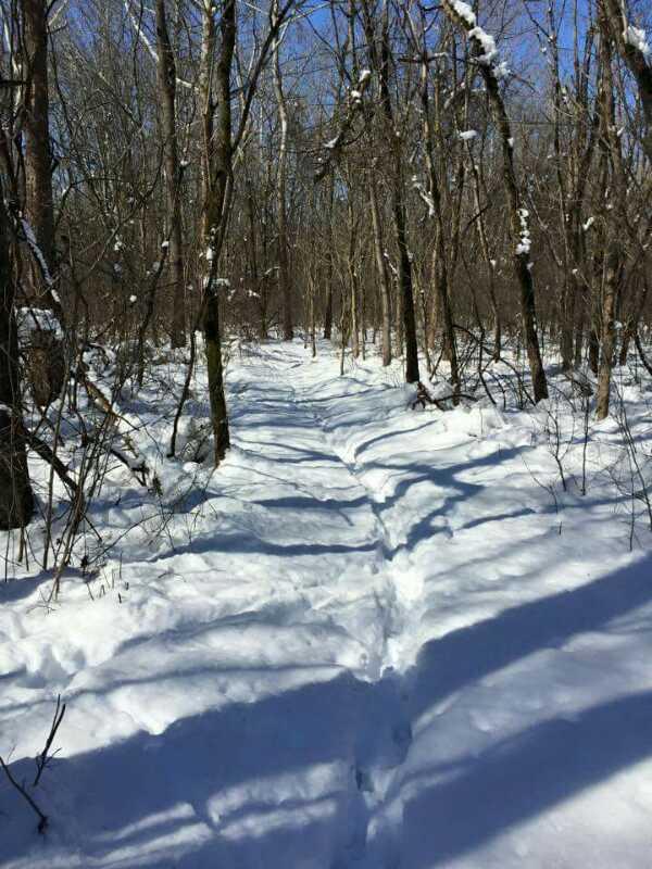 A snow-covered path winding through a winter forest, flanked by bare trees and splashes of sunlight illuminating the scene. Snow blankets the ground, with faint footprints leading into the distance. Capital View mountain bike trail.