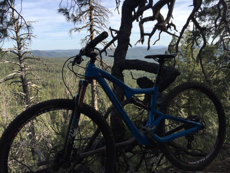 A blue mountain bike leaning against a gnarled tree branch, with a scenic landscape of rolling hills and forests in the background under a clear sky. Drew Canyon Trail #291 mountain bike trail.