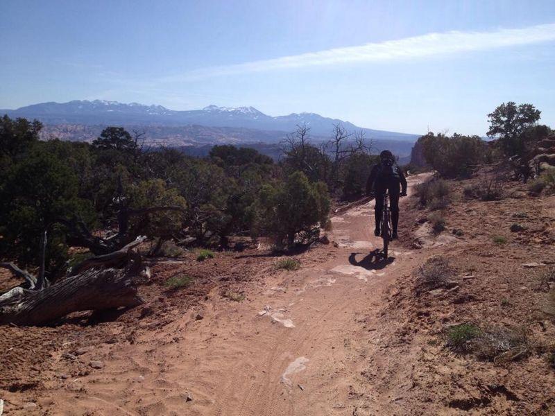 A mountain biker riding along a sandy trail, surrounded by shrubs and trees, with a mountainous landscape in the background. The sky is clear with a few wispy clouds, and snow-capped peaks are visible in the distance. Dead Horse Point State Park mountain bike trail.