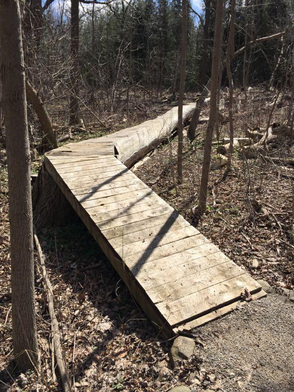 A wooden boardwalk curving through a forested area, surrounded by trees and fallen leaves. The path is elevated and constructed to navigate uneven terrain. Sunlight filters through the trees, creating shadows on the boardwalk. Wildwood Conservation Area mountain bike trail.