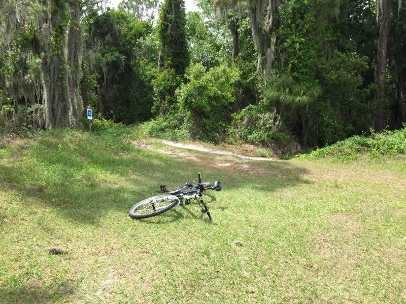 A mountain bike lies on its side in a grassy area near a wooded path, surrounded by lush greenery and trees. A signpost is visible in the background, indicating a trail or pathway. The scene is bright and sunny, suggesting a peaceful outdoor setting. Balm Boyette Scrub Preserve mountain bike trail.