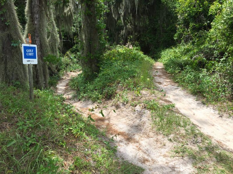 A forked dirt path surrounded by lush greenery and trees, with a blue sign on the left that reads "GOLF CART." The area is shaded and features sandy ground, indicating a trail suitable for golf carts. Balm Boyette Scrub Preserve mountain bike trail.