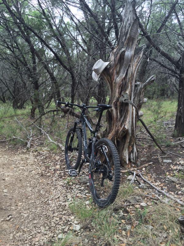 A black mountain bike resting against a weathered tree in a wooded area, with a white cowboy hat placed on the tree trunk. Surrounding foliage includes green grass and small bushes, with a gravel path visible in the foreground. Solavaca mountain bike trail.