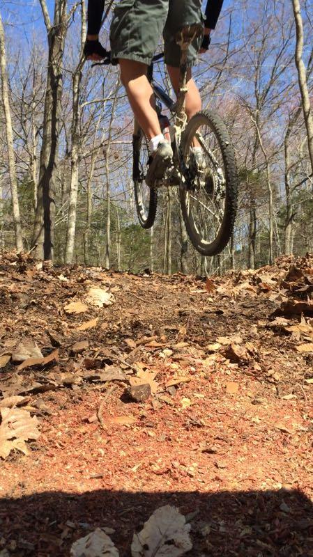 A mountain biker in shorts catches air while performing a jump on a forest trail, surrounded by trees and dry leaves on the ground. Green River mountain bike trail.