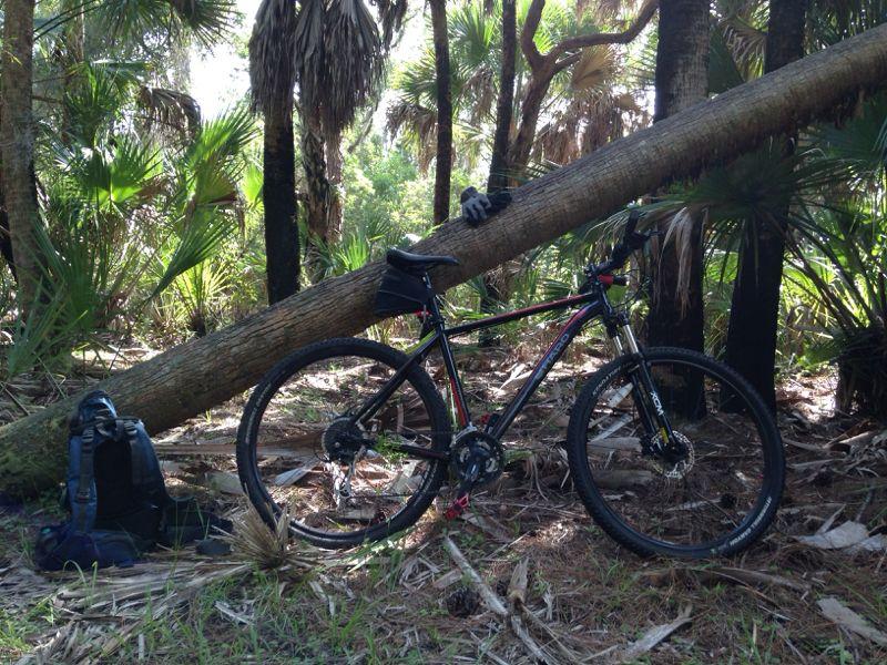A black mountain bike leaning against a fallen tree in a lush, green forest. Nearby, there is a black backpack on the ground, partially covered by foliage. The scene captures a tranquil moment in nature, surrounded by palm trees and underbrush. BoldlyGo mountain bike trail.