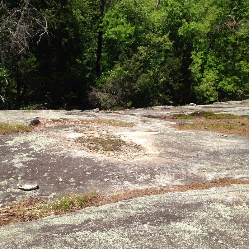 A rocky terrain view featuring smooth, gray stone surface with patches of moss and small plants. The background is filled with dense green foliage from surrounding trees, indicating a natural outdoor setting. Clinton Nature Preserve mountain bike trail.