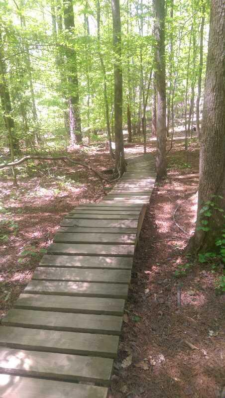A narrow wooden boardwalk winding through a vibrant green forest, surrounded by tall trees and dappled sunlight filtering through the leaves. The ground is covered with brown pine needles and small plants. Blankets Creek mountain bike trail.