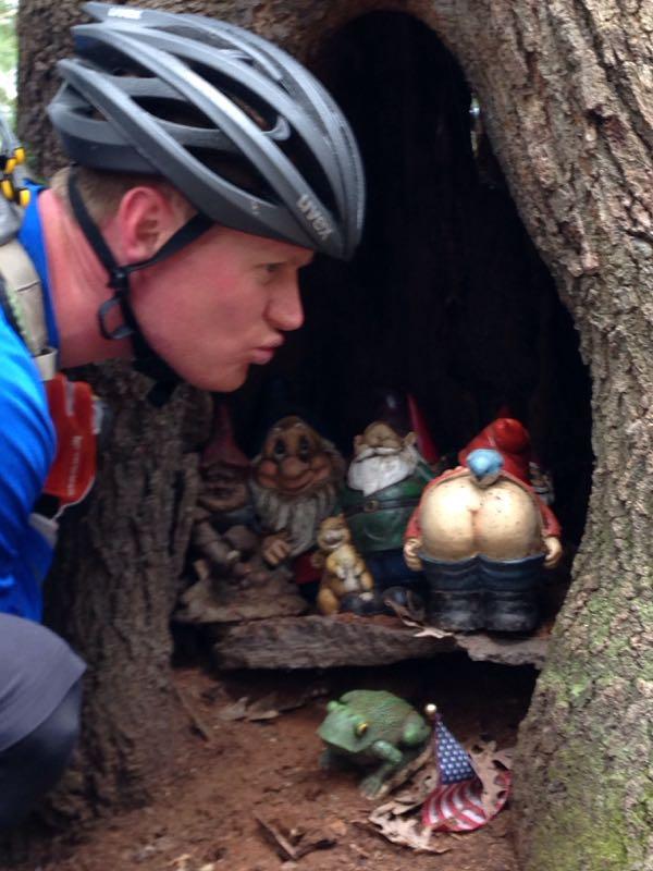 A cyclist in a blue shirt and helmet leans in closely to a hollow tree trunk, where a collection of whimsical garden gnomes is displayed, including one with a humorous backside. A small frog and a miniature American flag are also visible nearby. Mohican mountain bike trail.