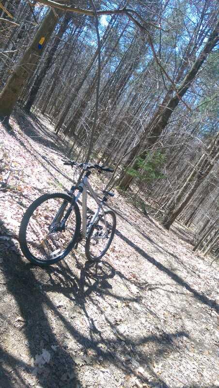 A mountain bike resting on a dirt path surrounded by trees in a wooded area. The ground is covered with fallen leaves, and sunlight filters through the branches, creating shadows on the trail. A blue trail marker is visible on a nearby tree. Great Bear mountain bike trail.