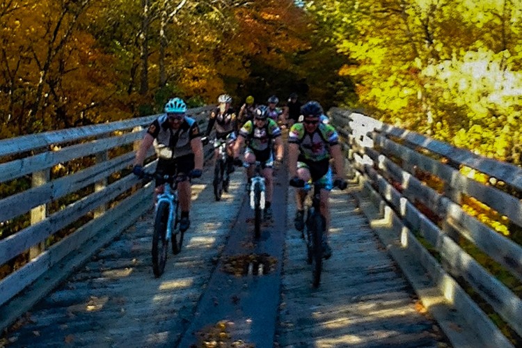 A group of mountain bikers riding on a wooden bridge surrounded by autumn trees with vibrant yellow and orange leaves. Some bikers are wearing helmets and cycling gear, showcasing an active outdoor scene.