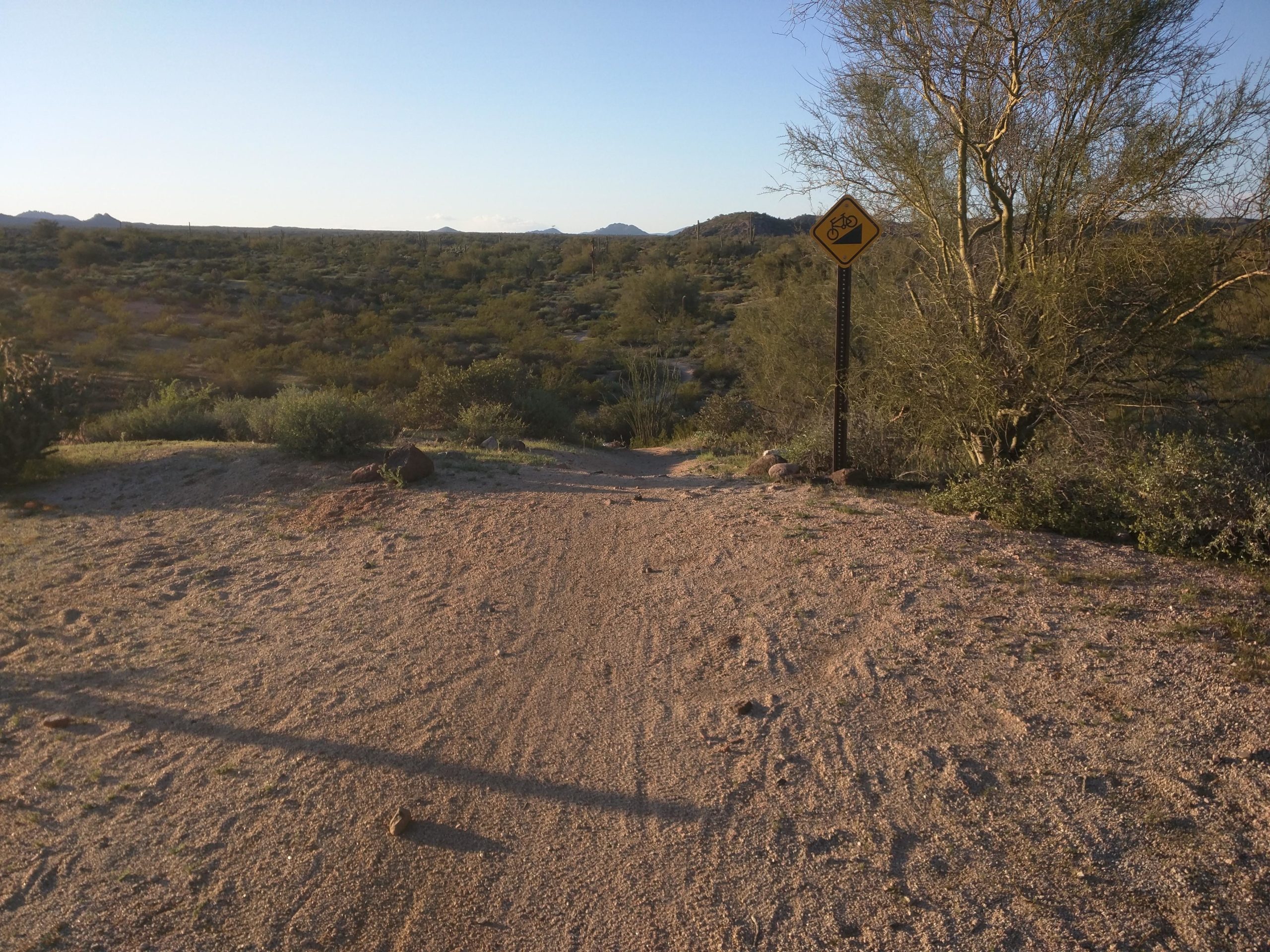 A sandy trail leading into a desert landscape, with nearby greenery and a sign indicating a bicycle zone. The setting is illuminated by soft sunlight, highlighting the natural surroundings and distant hills. McDowell Mountain Park mountain bike trail.
