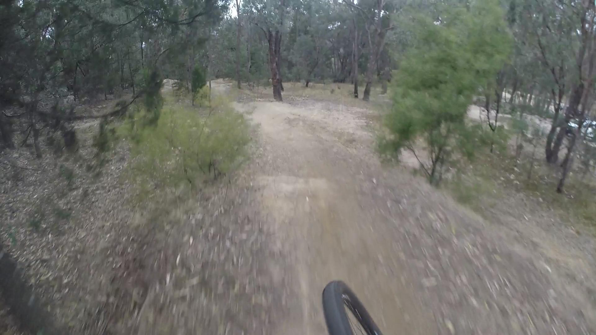 A close-up view of a mountain bike tire on a dirt trail surrounded by trees and shrubs in a forested area. The path is winding through the natural landscape, suggesting an active outdoor biking experience. Beechworth Mtb Park mountain bike trail.