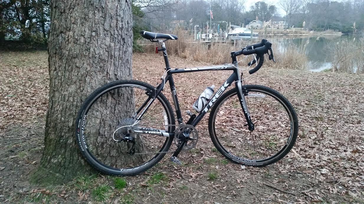 A black and silver Trek bicycle leaning against a tree in a wooded area, with fallen leaves on the ground and a calm water body visible in the background.