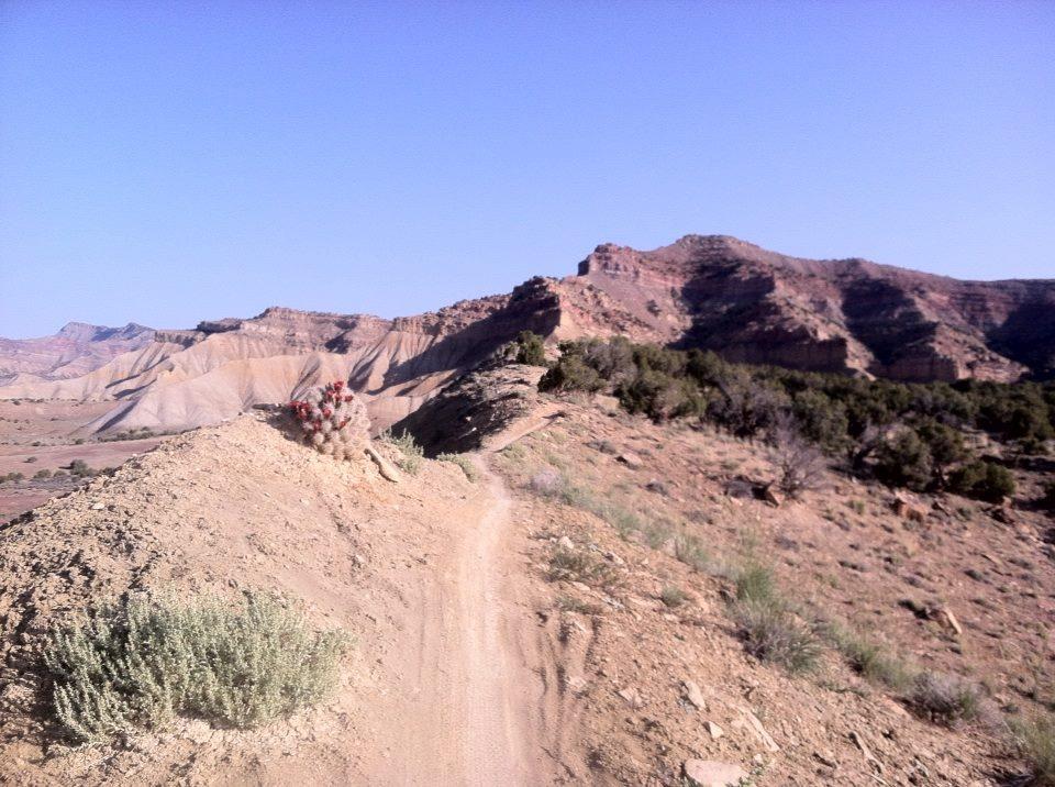 A scenic view of a rugged landscape featuring a dirt trail winding along a ridge, with layered rocky formations in the background. Sparse vegetation, including a small cactus and some shrubs, contrasts against the dry terrain under a clear blue sky. Zippety Do Dah mountain bike trail.