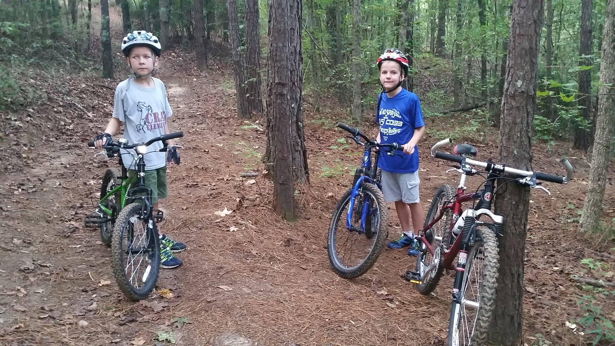 Alt text: Three young boys wearing helmets stand beside their bicycles on a wooded trail covered with pine needles. Two of the boys hold onto their bikes, while the third stands with a thoughtful expression. The forest background features tall trees and scattered leaves. Harbins Park mountain bike trail.