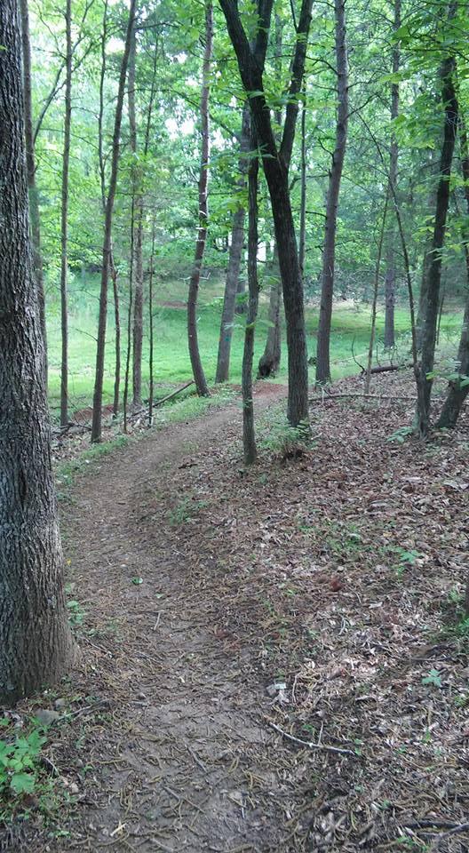 A winding dirt path through a lush, green forest, surrounded by trees and scattered fallen leaves. Sunlight filters through the foliage, creating a serene and inviting outdoor atmosphere. Mountain Laurel Trails mountain bike trail.