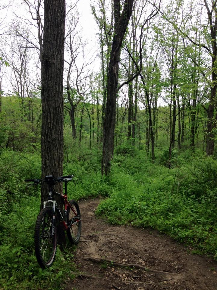 A mountain bike leaning against a tree on a winding dirt trail surrounded by lush green foliage and trees in a forest setting. Potawatomi trail mountain bike trail.