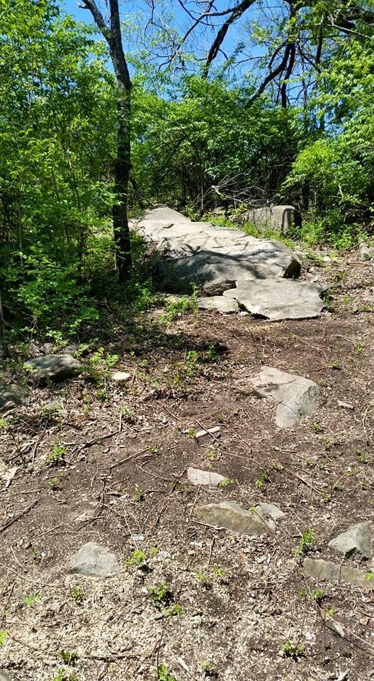 A rocky path surrounded by lush green foliage and trees on a sunny day. The large boulder is prominent in the center, with smaller rocks scattered along the earthy ground.