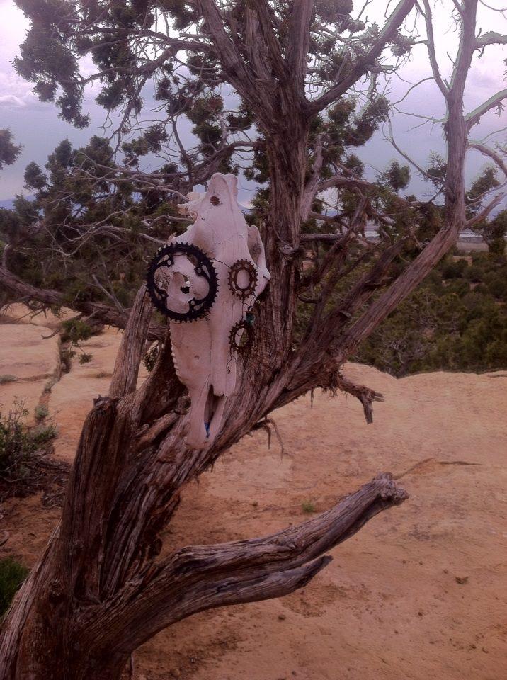 A weathered tree branch displays a bleached animal skull adorned with metal gears, set against a cloudy sky and rocky desert backdrop. Phil's World mountain bike trail.