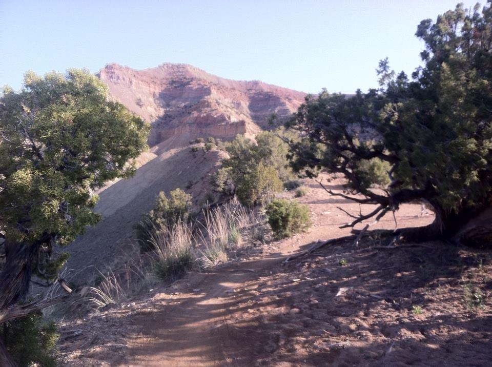 A scenic outdoor path winding through a rocky landscape, bordered by green shrubs and trees. In the background, the rugged terrain rises with steep cliffs and layered rock formations under a clear blue sky. Zippety Do Dah mountain bike trail.