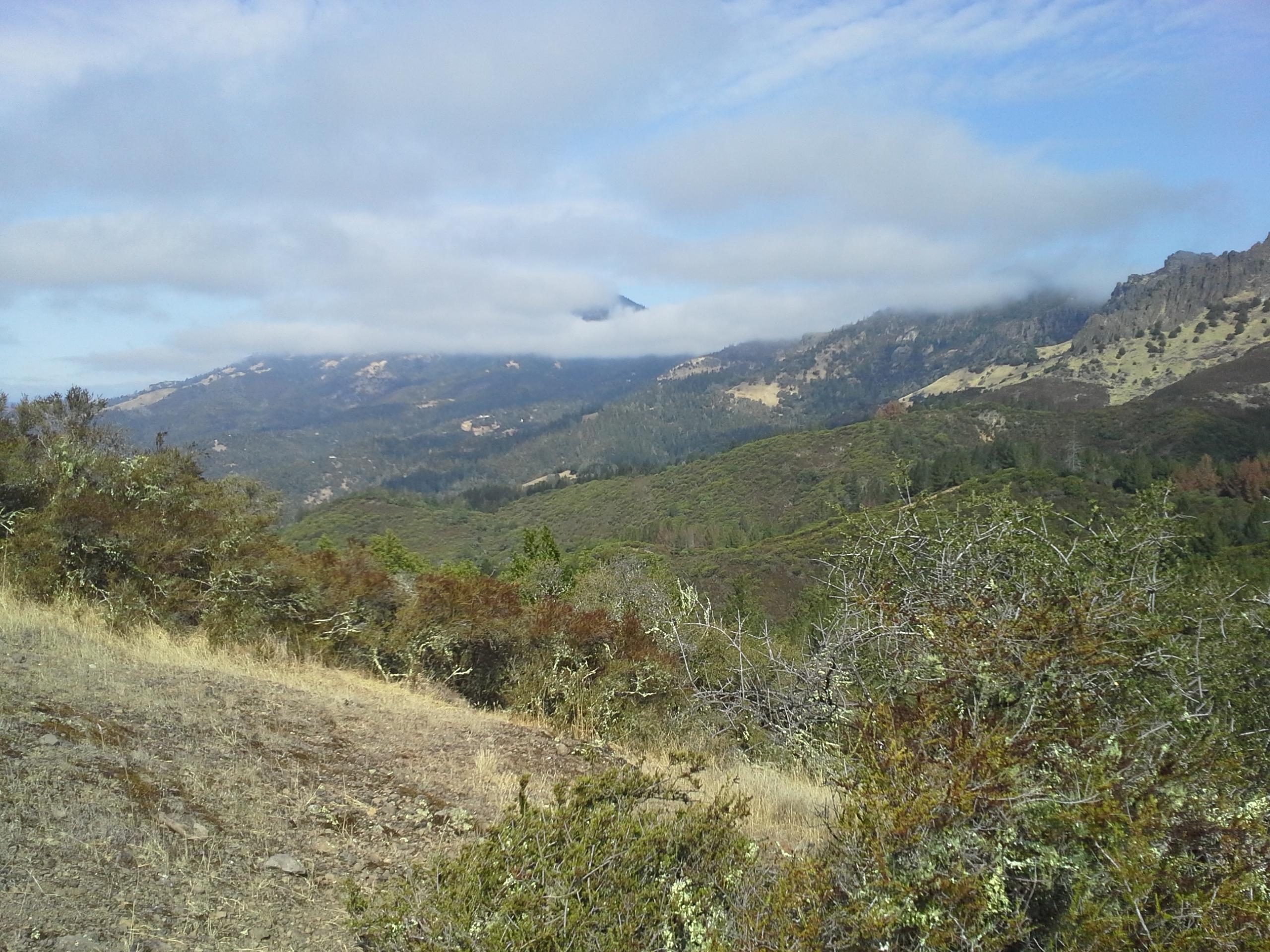 Landscape view of rolling hills and mountains, partially shrouded in clouds, with patches of greenery and dry grass in the foreground. Oat Hill Road mountain bike trail.