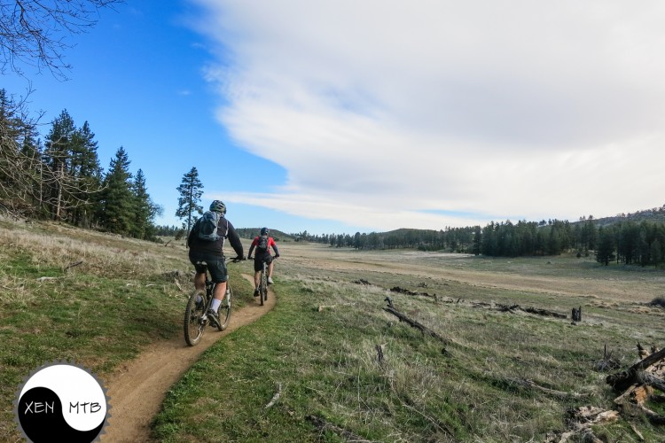 Two mountain bikers riding along a winding dirt trail through a grassy field, surrounded by trees and under a blue sky with white clouds. The cyclists are dressed in outdoor gear, with one wearing a helmet and a backpack. The image captures a scenic, vibrant landscape conducive to outdoor biking activities.