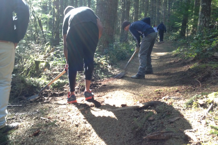 A group of individuals working on trail maintenance in a forested area, using shovels to clear and level the path. Sunlight filters through the trees, casting shadows on the ground. The scene captures the collaborative effort of outdoor conservation.
