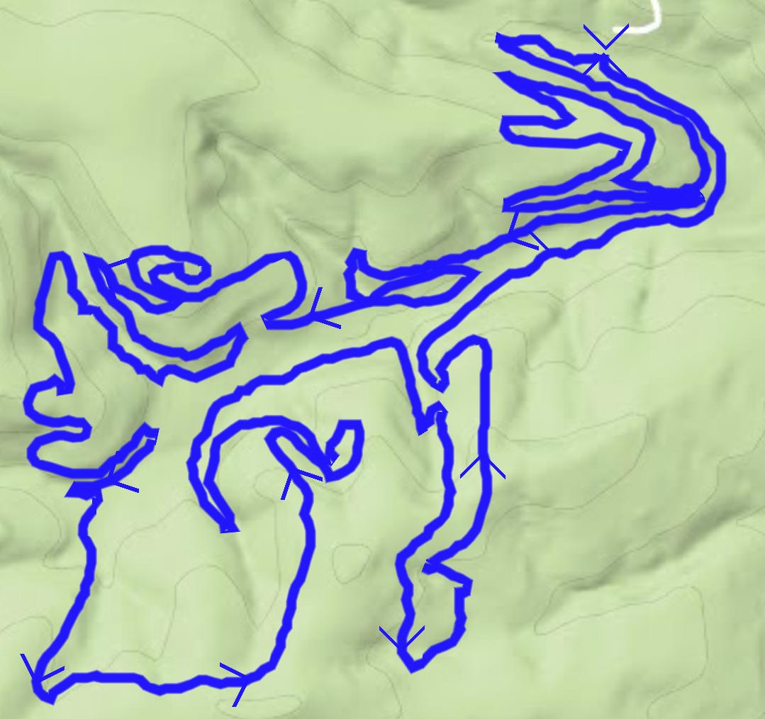 A topographic map featuring a winding blue trail against a light green background, showing elevation contours and directional arrows along the path. Magruderville mountain bike trail.