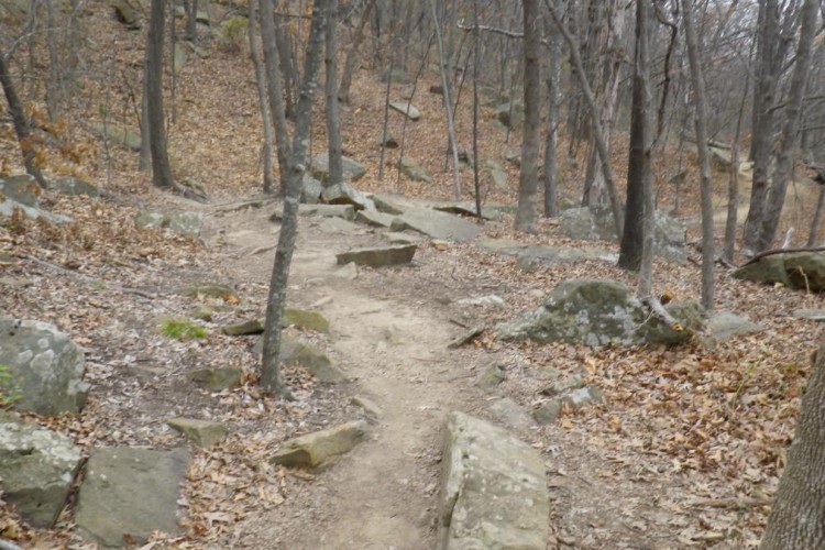 A winding dirt path through a wooded area, lined with rocks and covered in fallen leaves. The scene features bare trees with a mixture of branches and some remaining foliage, set against a backdrop of a gently sloping hill.