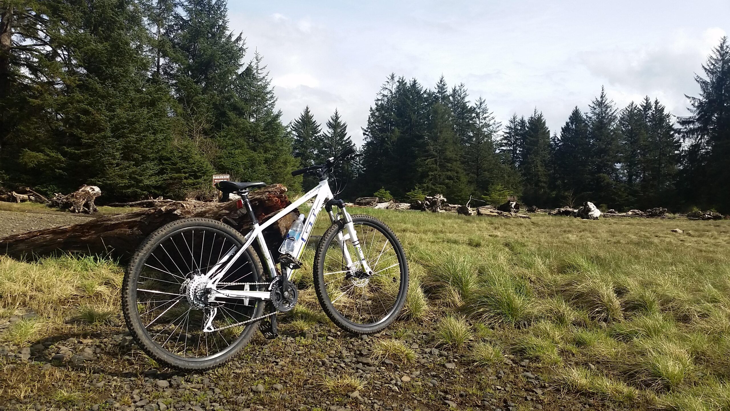 GT Backwoods: A white mountain bike parked on a grassy area with rocky soil, surrounded by tall evergreen trees and felled logs in the background. The sky is partly cloudy, indicating a clear day. A water bottle is attached to the bike's frame.