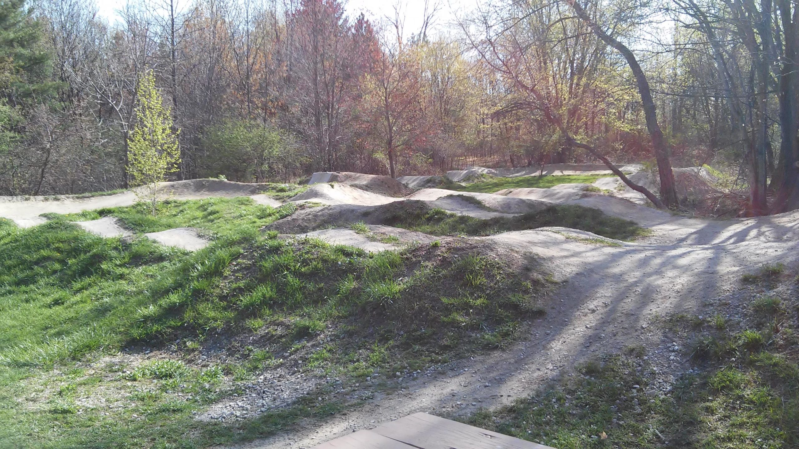 A dirt bike pump track surrounded by trees, featuring grassy mounds and gentle slopes under a sunny sky. The landscape showcases a mix of dirt and greenery, creating an inviting outdoor recreational area. Novi Tree Farm (Lakeshore Park) mountain bike trail.