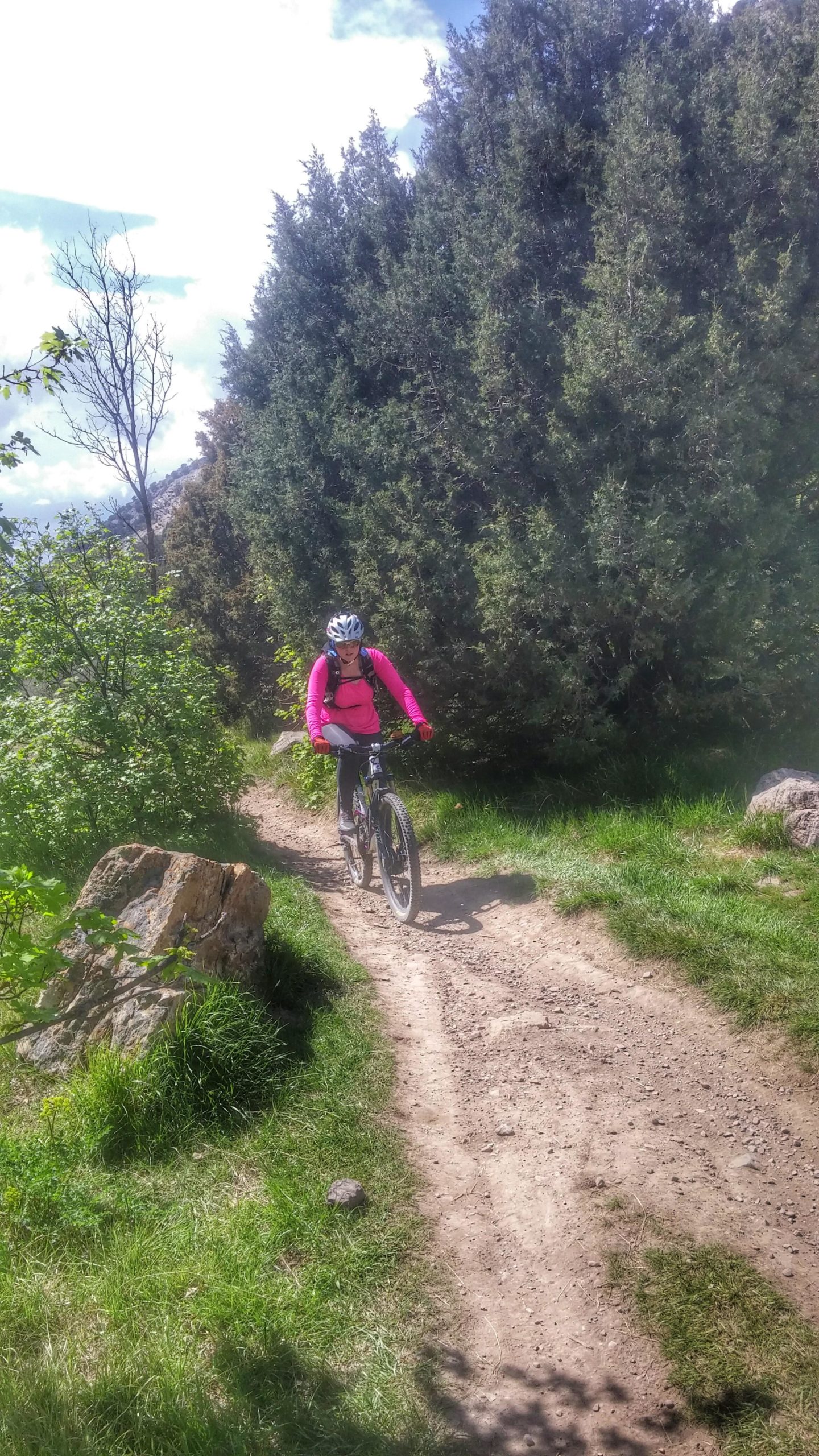 A person riding a mountain bike on a dirt trail surrounded by greenery and trees. The cyclist is wearing a helmet and a bright pink long-sleeve shirt, with a backpack, and is navigating a curved path. Sunlight filters through the clouds in the background, highlighting the natural landscape. Green Canyon mountain bike trail.